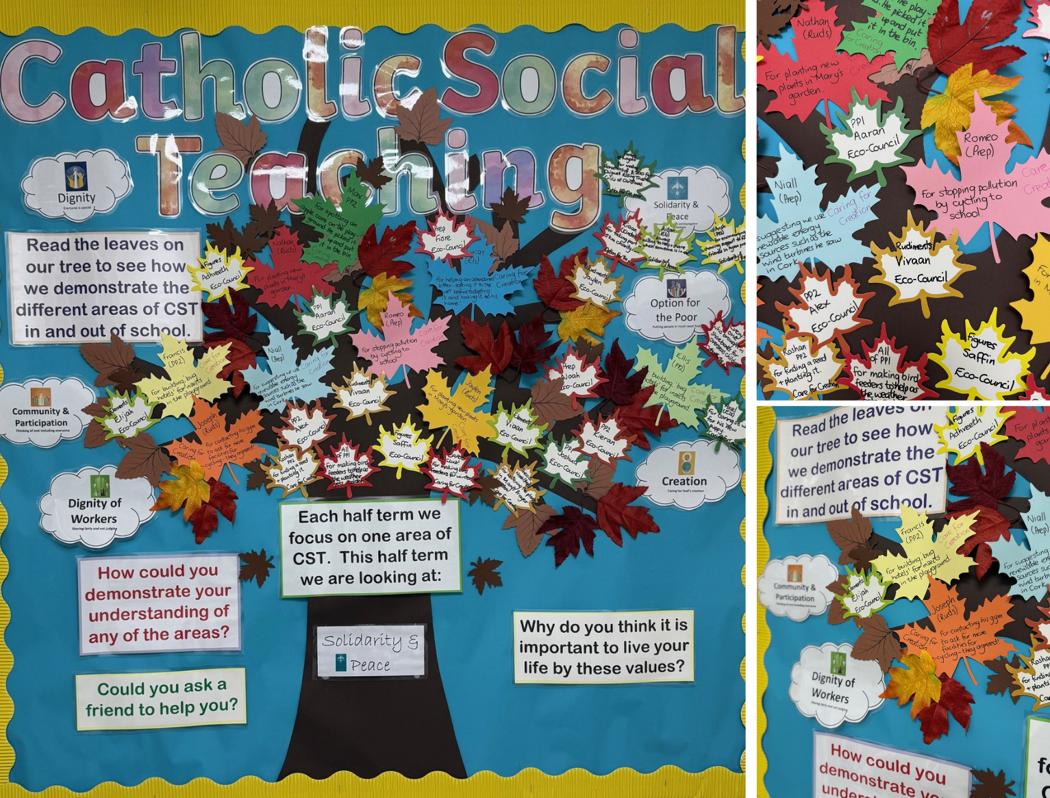 Catholic Social Teaching Tree